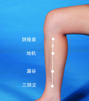 常揉陰陵泉等穴，讓你身體更強壯