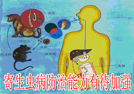 寄生蟲病防治能力有待加強