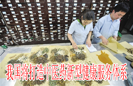我國將打造中醫(yī)藥新型健康服務(wù)體系