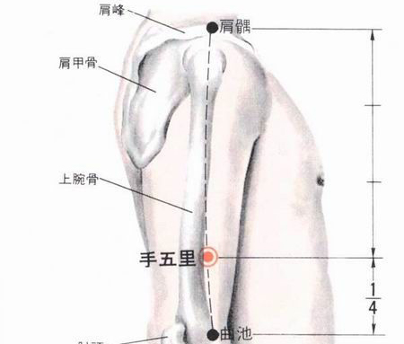 手五里穴→理氣散結