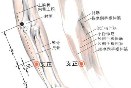 支正穴→治頭痛、目眩