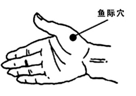 魚際穴→治發(fā)熱、咳嗽