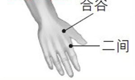 二間穴→治目昏、鼻衄