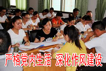 嚴格黨內(nèi)生活 深化作風(fēng)建設(shè)