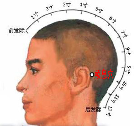 顱息穴→治頭痛、耳痛
