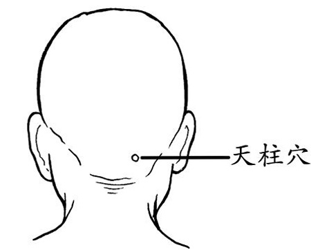 天柱穴→治頭痛、項強
