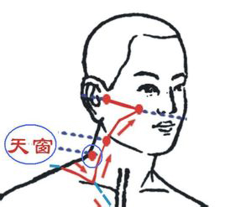 天窗穴→治耳鳴、耳聾