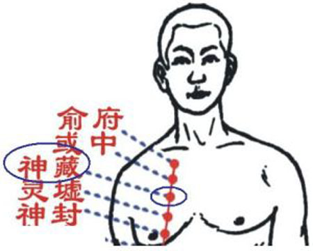 神藏穴→治咳嗽、胸痛
