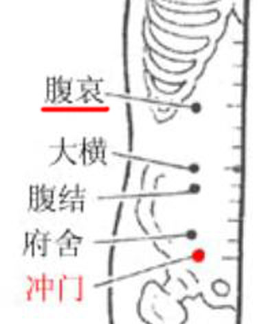 腹哀穴→治腹痛、便秘