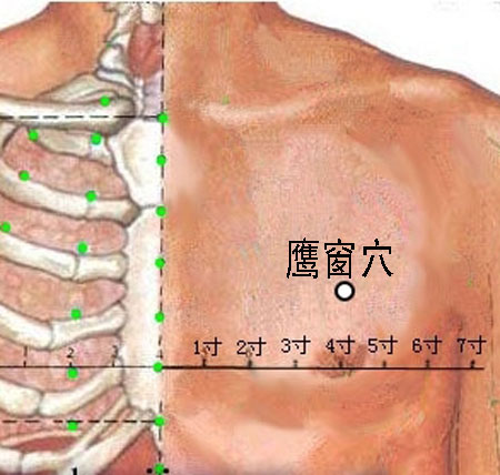 鷹窗穴→治咳嗽、氣喘