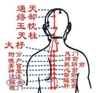 膈關(guān)穴→治胸悶、噯氣