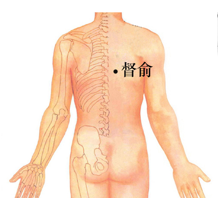 督俞穴→治心痛、胸悶