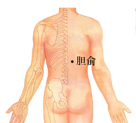 膽俞穴→治黃疸、口苦