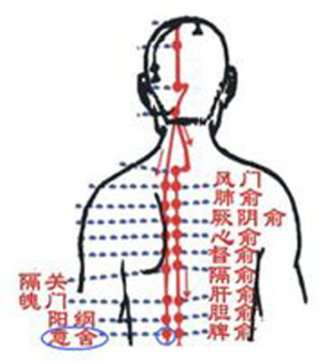 意舍穴→治腹脹、腸鳴