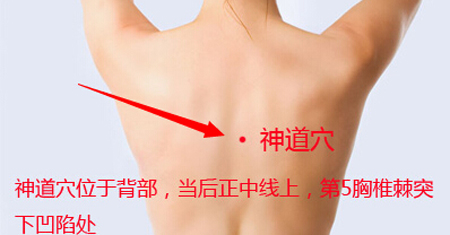 神道穴→治心痛、驚悸
