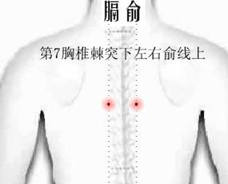 膈俞穴→治嘔吐、呃逆