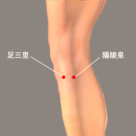 陰陵泉穴→治腹脹、泄瀉