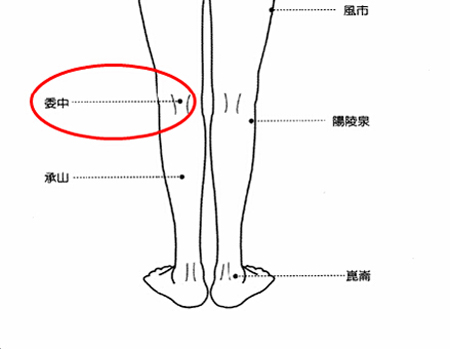 委中穴→治腰痛、腹痛。