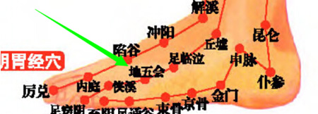 地五會穴→治頭痛、目赤痛.
