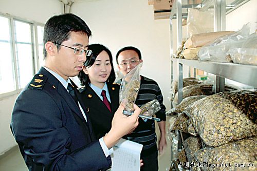 一季度保定市檢驗檢疫出口中藥材貨值增幅21%