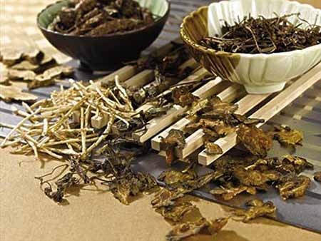 中醫(yī)藥走向世界：如何再快一些？