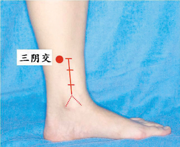 脾經(jīng)生輝，血海和三陰交是女人養(yǎng)生要穴