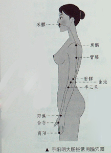 敲敲打打大腸經(jīng)、胃經(jīng)，女人的“不老秘方”