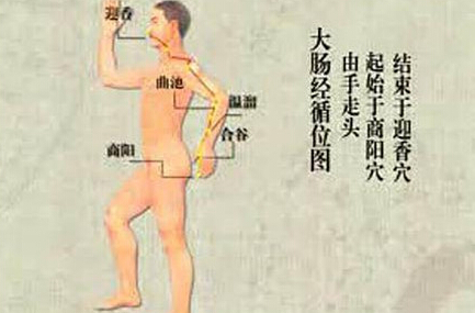 刮痧刮大腸經(jīng)，可以清理腸道、排出宿便