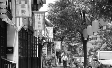 溫州考察團(tuán)“三顧”建國(guó)南路 看看中醫(yī)一條街是如何誕生的