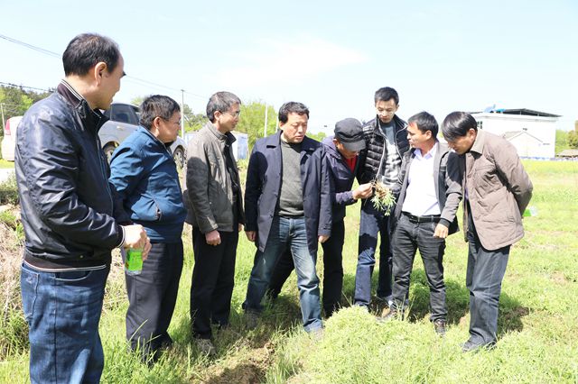 安徽中醫(yī)藥大學(xué)的專(zhuān)家赴潛山縣調(diào)研