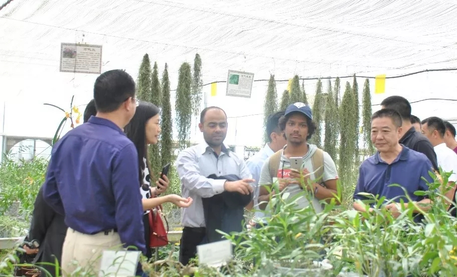 狄派克·班賈德領事一行參觀嶺南中草藥種質(zhì)種苗繁育基地