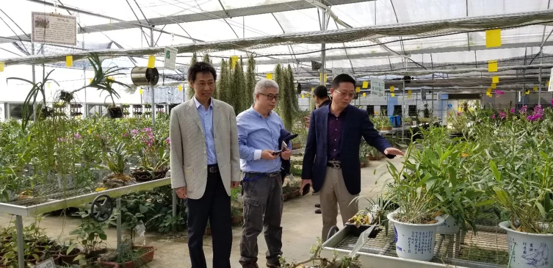 楊教授一行參觀嶺南中草藥種質種苗繁育基地合影留念