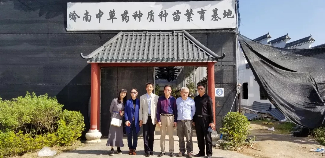 暨南大學(xué)中醫(yī)學(xué)院副院長(zhǎng)楊欽河教授率隊(duì)來(lái)我園參觀考察