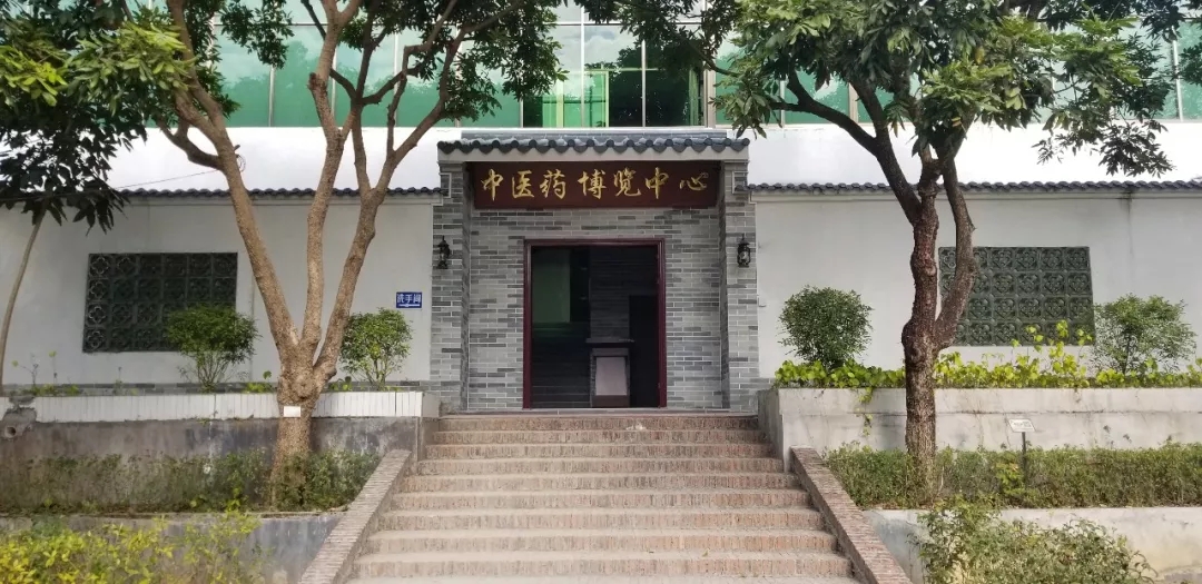 【科技開放日】嶺南中醫(yī)藥文化博覽園科普基地歡迎您！