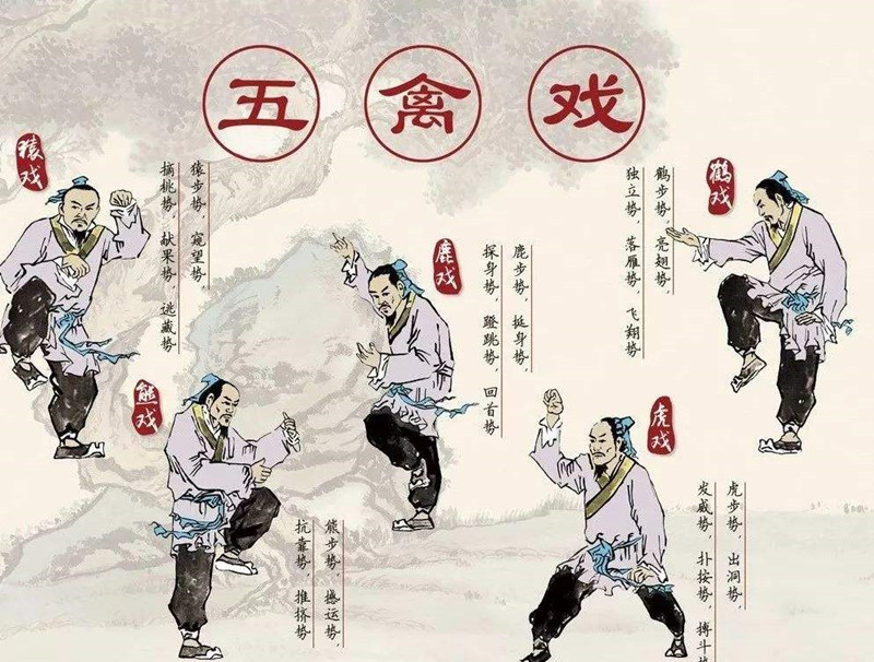 華佗，外科鼻祖，發(fā)明麻沸散、五禽戲