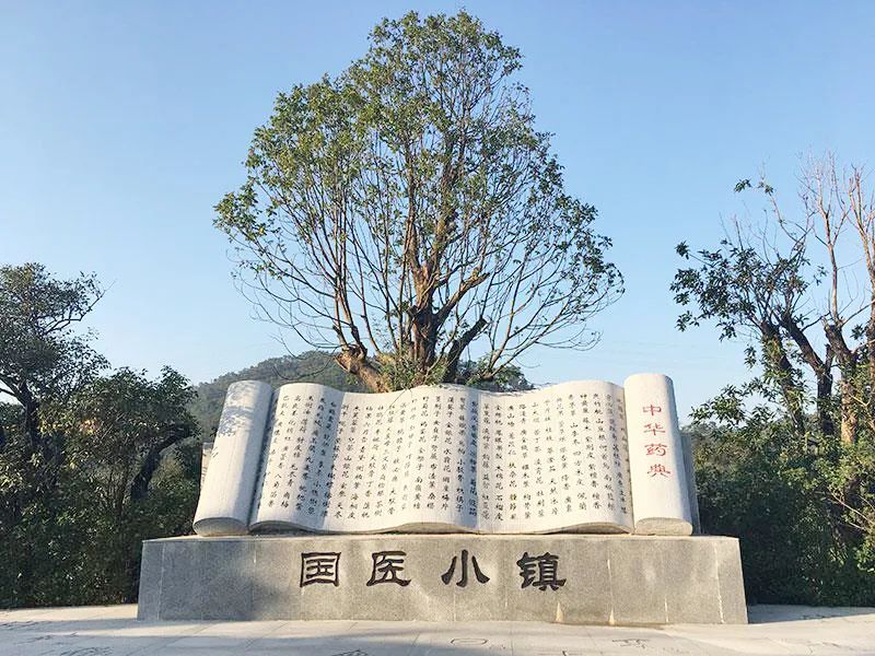 【防疫先鋒科學(xué)營】爭當(dāng)抗疫小先鋒，探尋神奇中醫(yī)藥