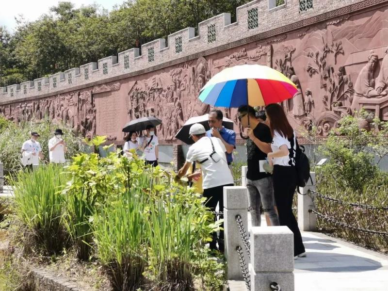 粵港澳青年之家一行20多人來我園參觀學習