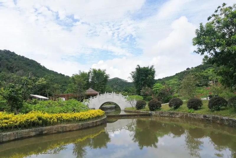 “重陽登高識(shí)百草，遍插茱萸承孝道”國醫(yī)小鎮(zhèn)重陽節(jié)主題活動(dòng)招募來啦！