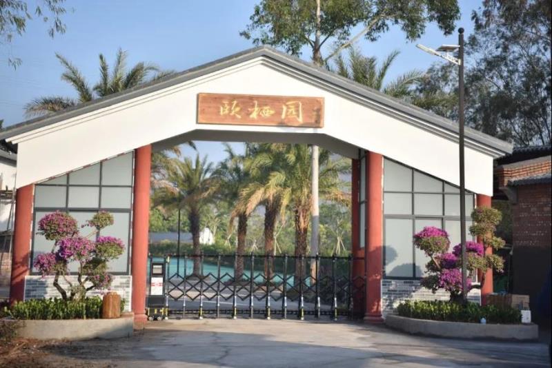 【國醫(yī)小鎮(zhèn) 特大喜訊】中醫(yī)藥健康特色民宿“頤棲園”正式開業(yè)！