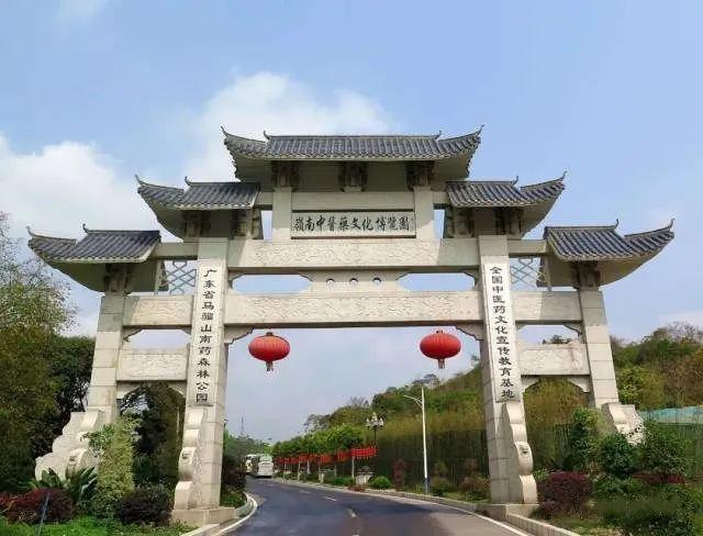 彰顯中醫(yī)藥優(yōu)勢特色，擦亮黨史學習教育底色