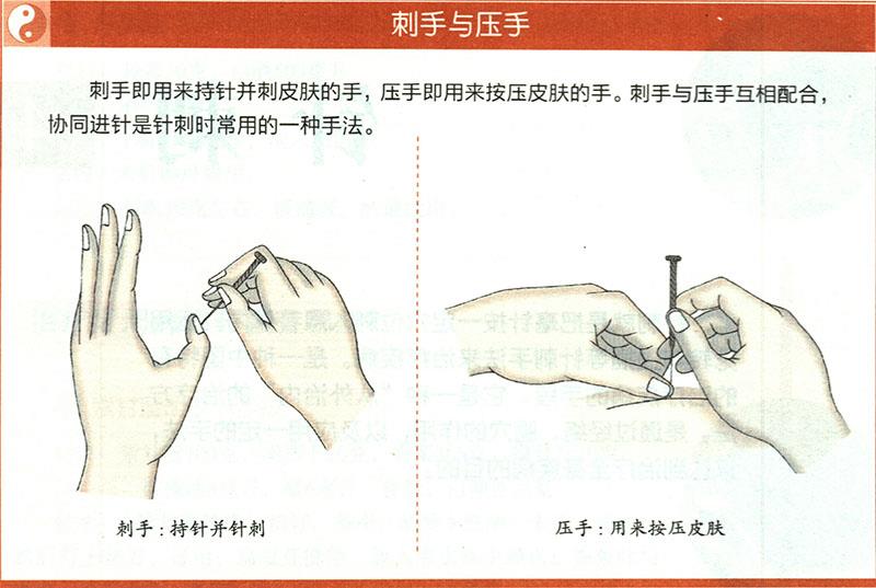 一般針法的運用原則是什么？