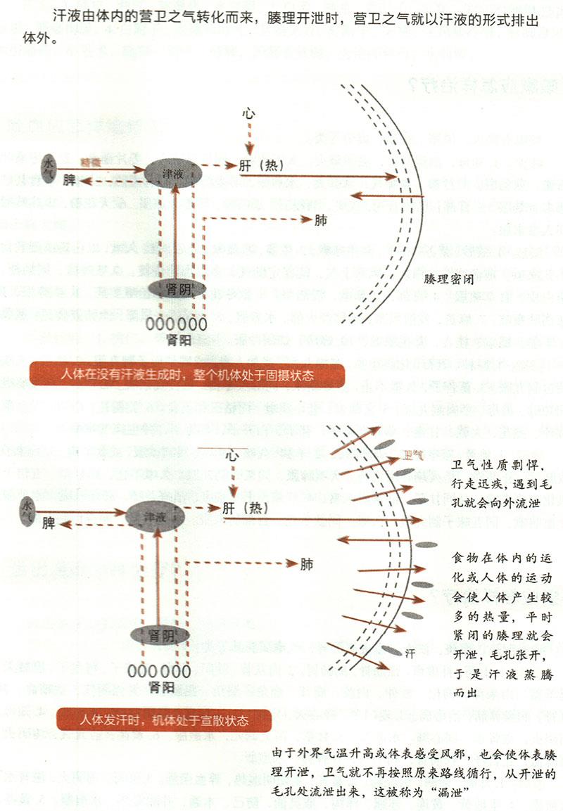 諸汗應(yīng)怎樣治療？