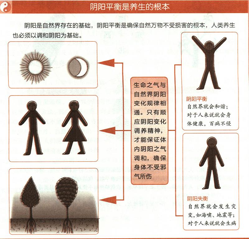 養(yǎng)生的根本是什么？