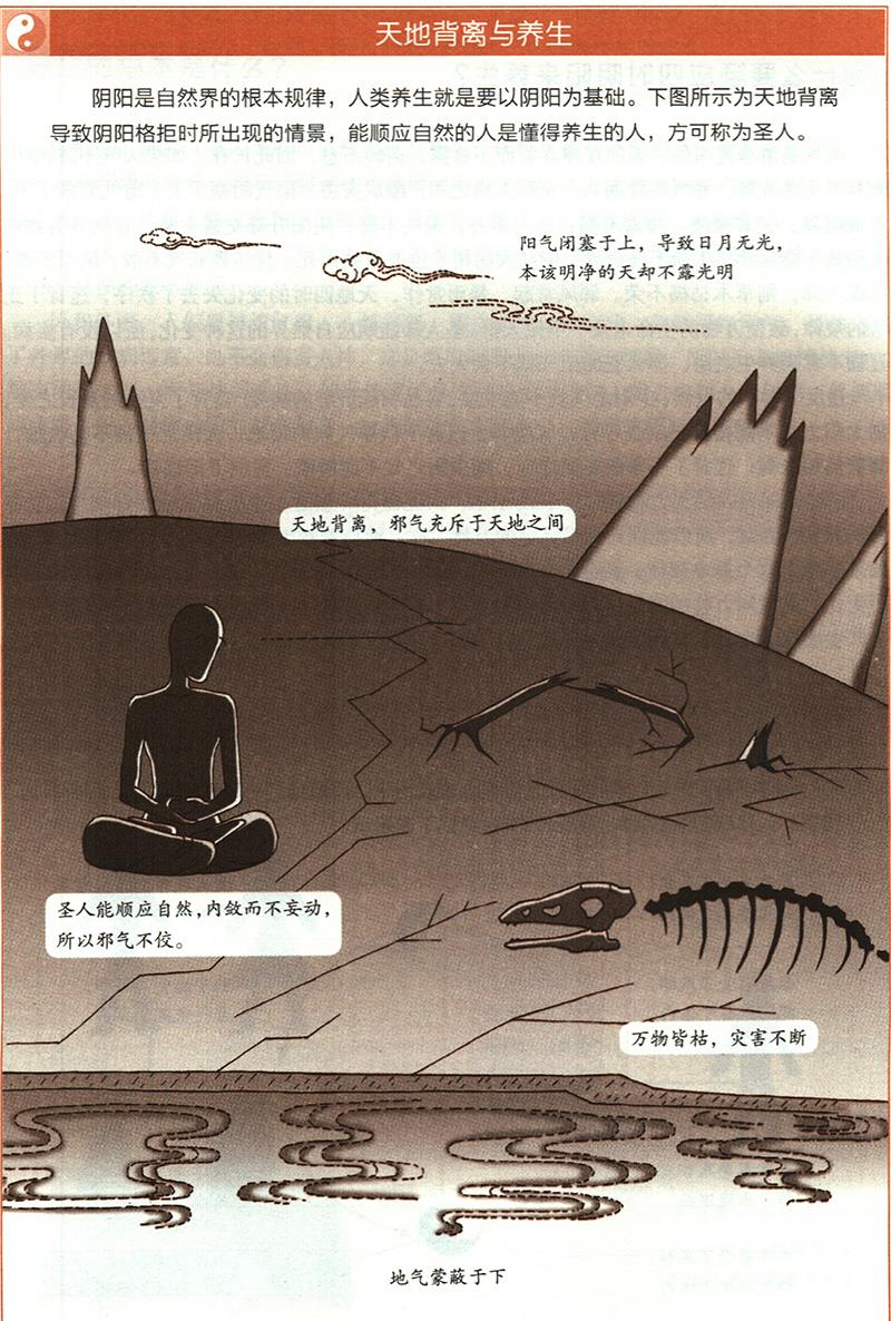 陽(yáng)氣有什么重要性？