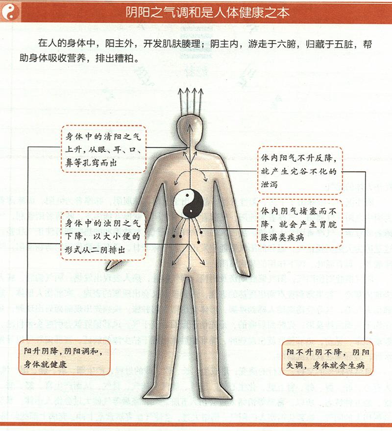 人為什么一定要陰陽(yáng)調(diào)和才健康？