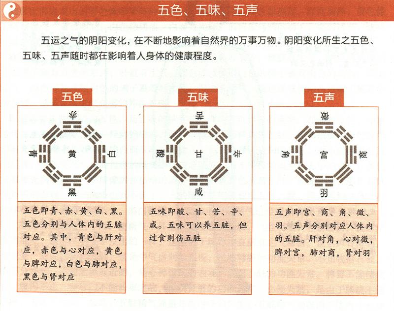 臟腑功能如何在體表上顯現？