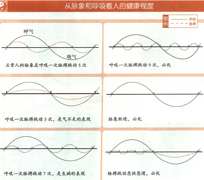 如何從脈象和呼吸推算健康？