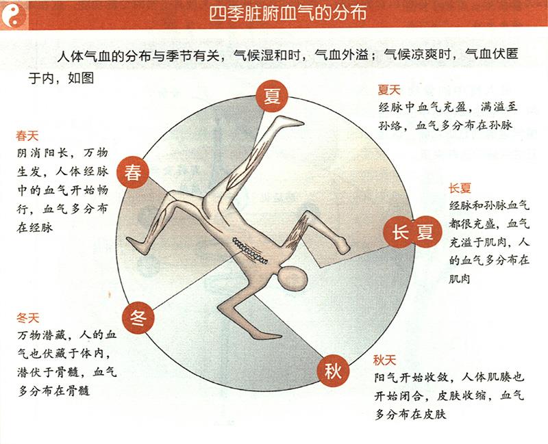 四季臟腑血氣是怎樣分布的？