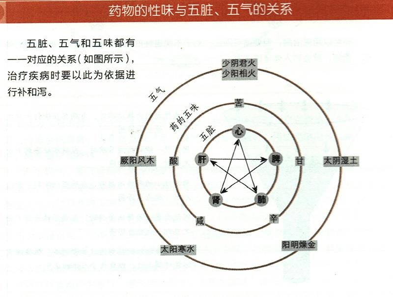 藥物的性味與五臟、五氣有什么關(guān)系？
