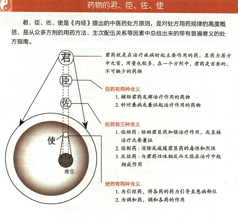 什么是藥物的君臣佐使？